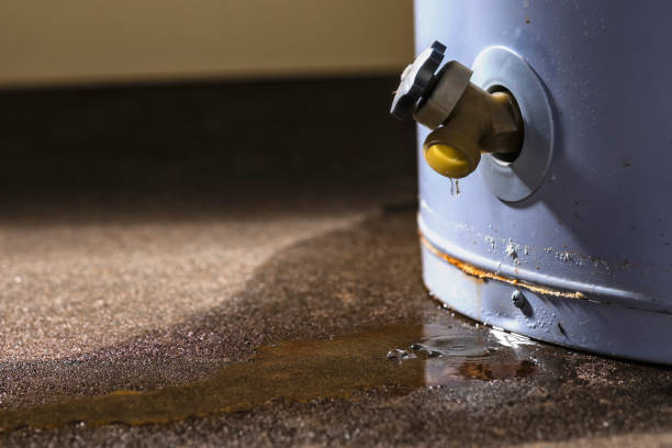 Best Local water damage restoration  in Benton Park, CA