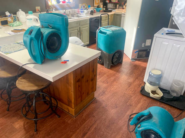 Best Professional water damage repair  in Benton Park, CA