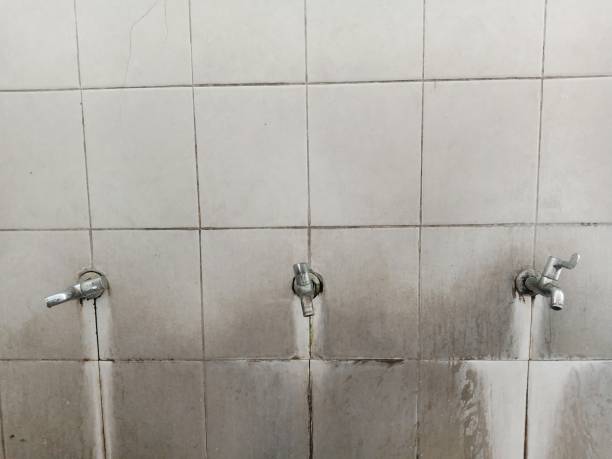 Best Water damage restoration mold remediation  in Benton Park, CA