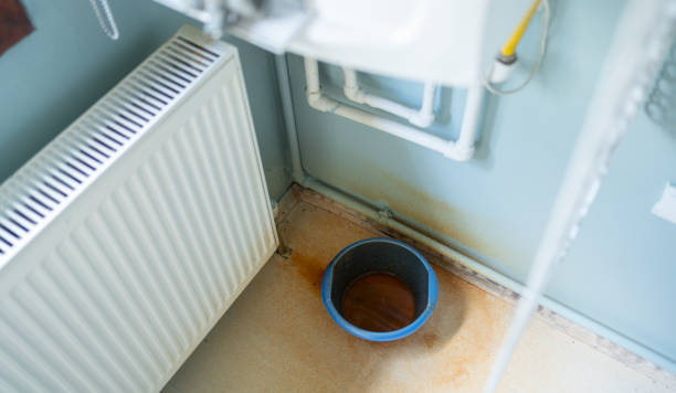 Best Local water damage restoration  in Benton Park, CA