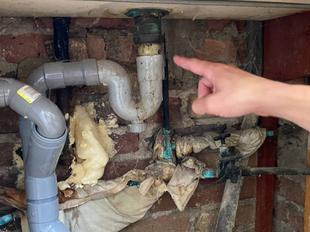 Best Mold removal after water damage  in Benton Park, CA