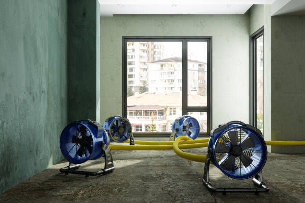 Best Ceiling water damage repair  in Benton Park, CA